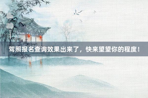 驾照报名查询效果出来了，快来望望你的程度！