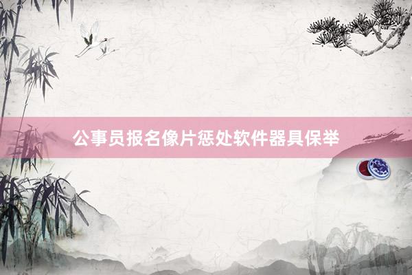 公事员报名像片惩处软件器具保举