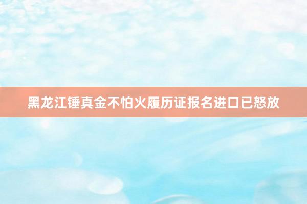 黑龙江锤真金不怕火履历证报名进口已怒放