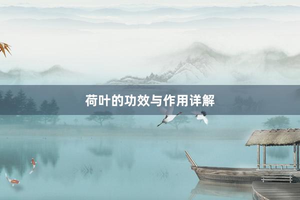 荷叶的功效与作用详解